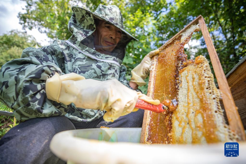 姚记捕鱼电脑版官方网站